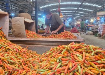 Kementerian Pertanian Tambah Pasokan Cabai di Pasar Induk Kramat Jati