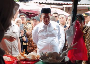 Menteri Pertanian Sidak Pasar untuk Pantau Harga Pangan