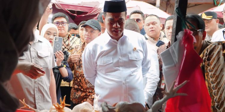 Menteri Pertanian Sidak Pasar untuk Pantau Harga Pangan