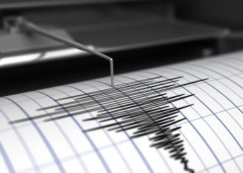 Gempa Magnitudo 4,9 Mengguncang Kepulauan Aru, Maluku