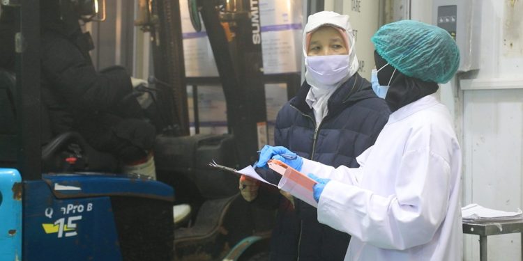 KKP Tingkatkan Ekspor Perikanan ke Tiongkok dan Turki