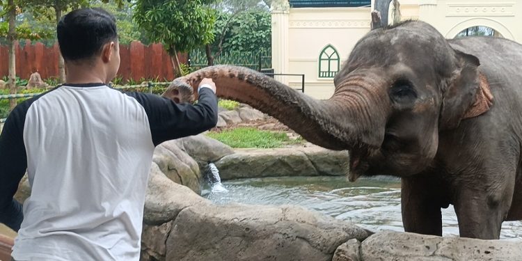 Safari Beach Jateng Suguhkan Nuansa Kampung Halaman Selama Ramadan