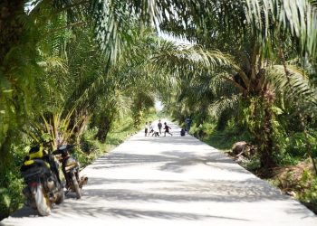 Pembangunan Infrastruktur Jadi Prioritas di Pontianak Utara