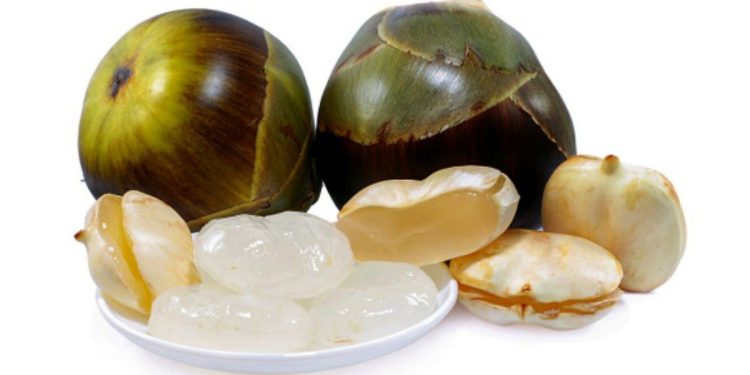 Manfaat Kolang-Kaling untuk Kesehatan Tulang: Fakta dan Penjelasan