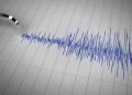 Gempa Magnitudo 3.8 Mengguncang Daruba, Maluku Utara