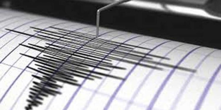 Gempa Magnitudo 3.5 Guncang Wilayah Selayar, Sulawesi Selatan