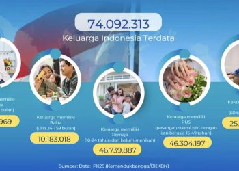 Pemerintah Dorong Pembangunan Keluarga Lewat Strategi Prasara dan Vistara