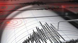 Gempa Magnitudo 3.1 Guncang Wilayah Kaur, Bengkulu