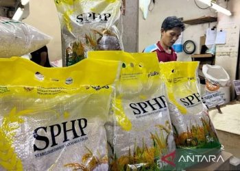 Pemerintah Mulai Distribusikan Beras SPHP untuk Stabilitas Harga hingga Akhir Tahun