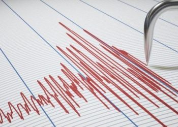 Gempa Magnitudo 4.1 Guncang Toli-Toli, Sulawesi Tengah