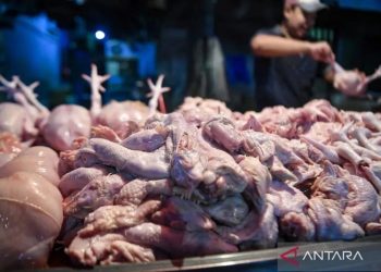 Mentan Tegaskan Harga Daging dan Telur Harus Sesuai HET