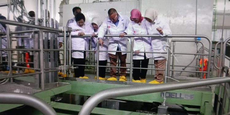 BRIN dan Kemenko Pangan Tingkatkan Pengujian Nuklir untuk Keamanan Pangan Ekspor