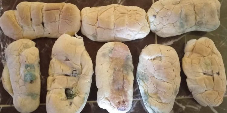 Guru Besar UGM Soroti Bahaya Kesehatan dari Roti MBG Berjamur