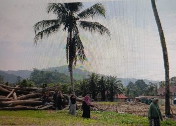 Mahasiswa Berperan Aktif dalam Pemulihan Pascabencana di Tapanuli Selatan