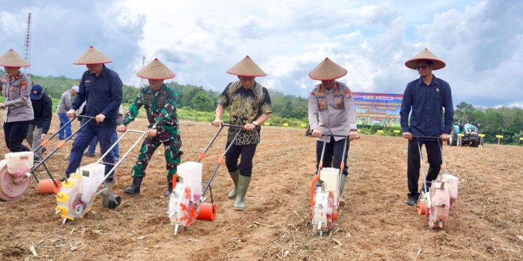 Pemkab Balangan Dukung Penanaman Jagung Bersama di Awal 2026