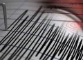 Gempa Magnitudo 3,8 Guncang Wilayah Sarmi, Papua