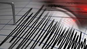 Gempa Magnitudo 3,8 Guncang Wilayah Sarmi, Papua