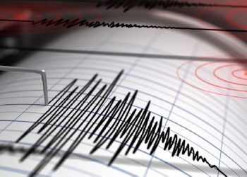 Gempa Magnitudo 3.2 Guncang Wilayah Pasaman, Sumatera Barat