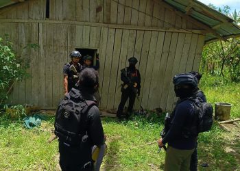 Penangkapan Komandan Kimbusa Kodap XVI Yahukimo oleh Satgas Damai Cartenz