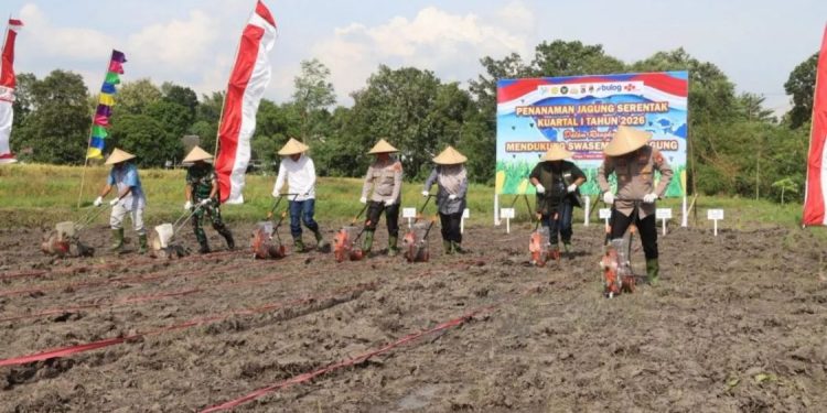 Polda NTB Dukung Ketahanan Pangan Nasional dengan Penanaman Jagung