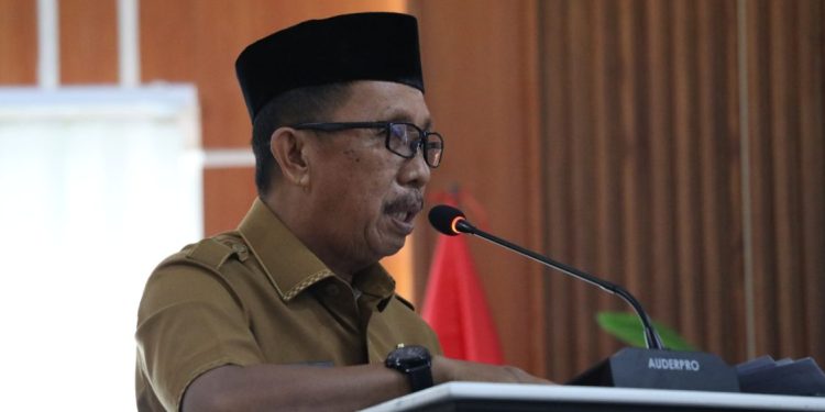 Morowali Gelar Seminar Penyusunan Revisi RPKD 2025-2029 untuk Kurangi Kemiskinan