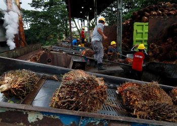 Indonesia Tingkatkan Ketahanan Pangan dan Energi di Tengah Ketegangan Geopolitik