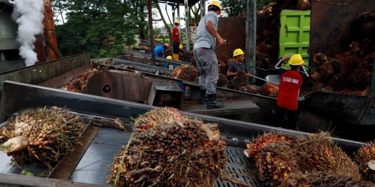 Indonesia Tingkatkan Ketahanan Pangan dan Energi di Tengah Ketegangan Geopolitik