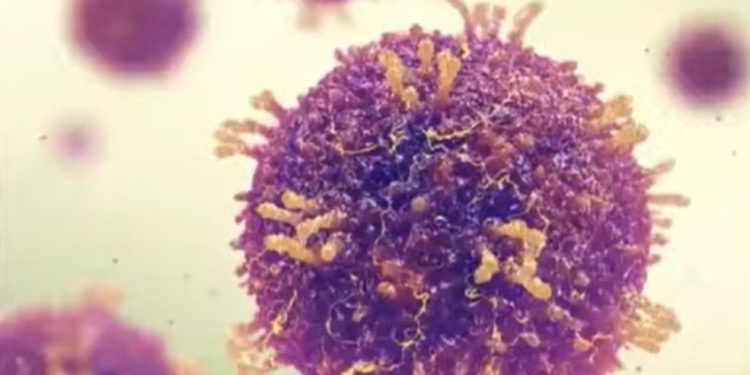 Ancaman Campak Masih Tinggi, Imunisasi Jadi Solusi Efektif