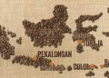Kedai Kopi Bertambah, Tantangan Produktivitas dan Kesejahteraan Petani Kopi
