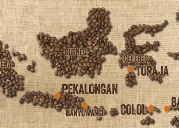 Kedai Kopi Bertambah, Tantangan Produktivitas dan Kesejahteraan Petani Kopi