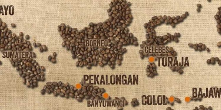 Kedai Kopi Bertambah, Tantangan Produktivitas dan Kesejahteraan Petani Kopi