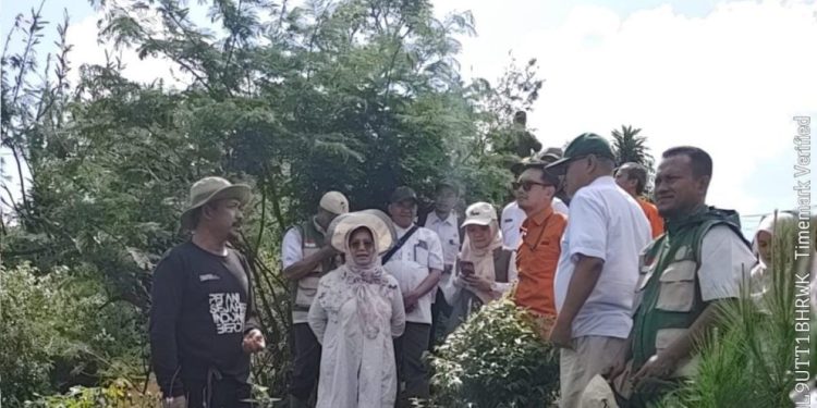 Poligonisasi Padi Gogo di Sukabumi Tingkatkan Produksi Beras Nasional