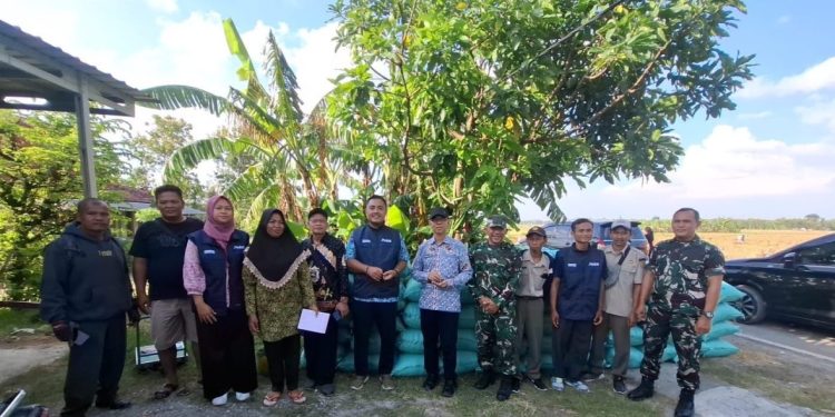 Harga Gabah di Bojonegoro Tetap Stabil di Tengah Pengawasan Ketat