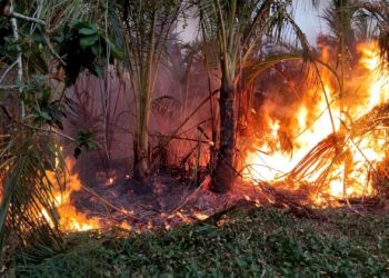 BMKG Temukan 36 Hotspot di Wilayah Aceh