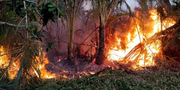 BMKG Temukan 36 Hotspot di Wilayah Aceh