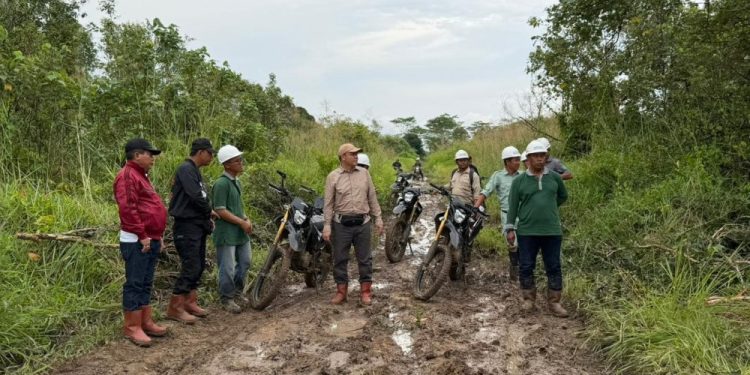 Bupati Kapuas Pantau Kondisi Jalan Rusak di Kapuas Kuala dan Bataguh