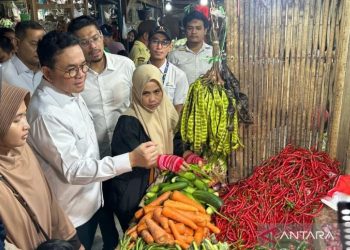 Menteri Perdagangan Pastikan Stabilitas Harga dan Ketersediaan Stok Menjelang Idulfitri