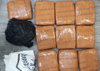 Dua Pemuda Ditangkap Polda Metro Jaya dengan Barang Bukti 10 Kg Ganja