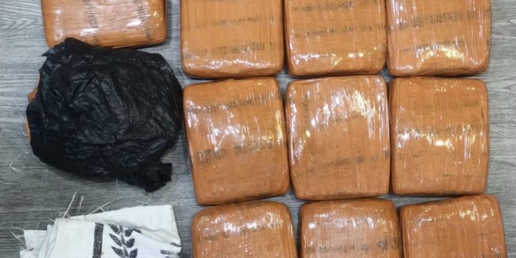Dua Pemuda Ditangkap Polda Metro Jaya dengan Barang Bukti 10 Kg Ganja