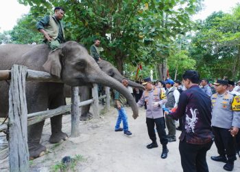 Penerapan One Way Tahap Pertama di Tol Trans Jawa Dimulai 17 Maret 2026