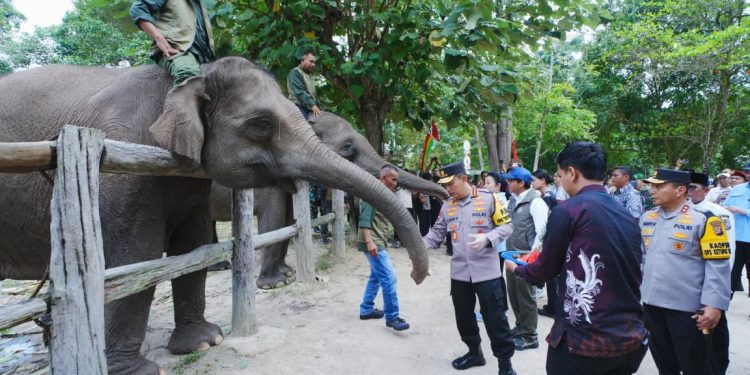 Penerapan One Way Tahap Pertama di Tol Trans Jawa Dimulai 17 Maret 2026
