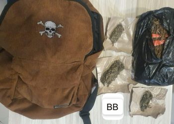 Polda Metro Jaya Berhasil Gagalkan Peredaran 906 Gram Ganja di Jakarta