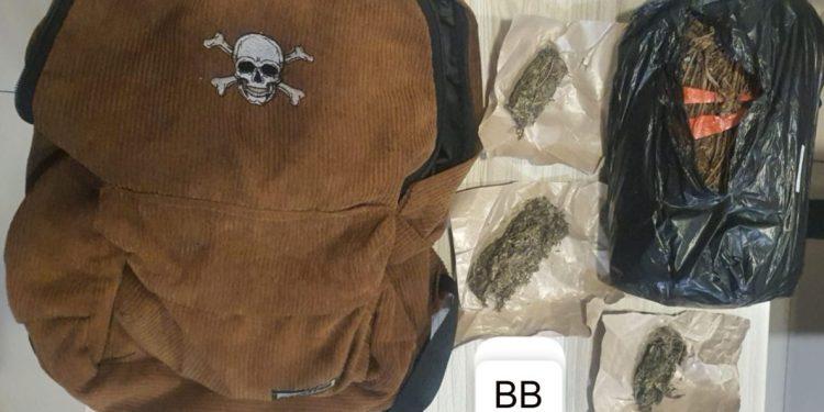 Polda Metro Jaya Berhasil Gagalkan Peredaran 906 Gram Ganja di Jakarta