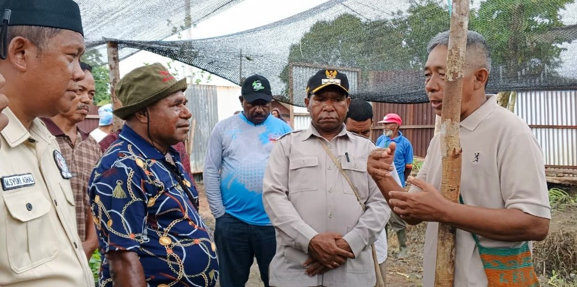 Bupati Boven Digoel Resmikan Pembibitan Kakao di Kampung Asiki