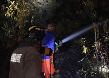 Polda Kepri Berhasil Padamkan Kebakaran Hutan di Tanjung Riau, Batam