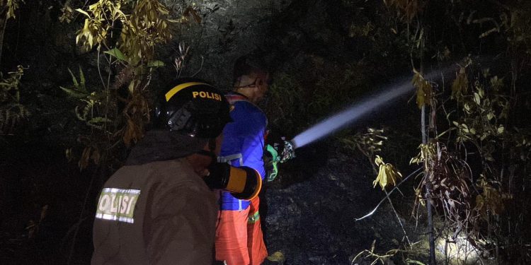 Polda Kepri Berhasil Padamkan Kebakaran Hutan di Tanjung Riau, Batam