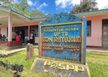 Ekonom UGM Serukan Kebijakan Berbasis Realitas untuk Atasi Kemiskinan di Ngada