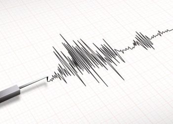 Gempa Magnitudo 3,9 Guncang Wilayah Lebong, Bengkulu