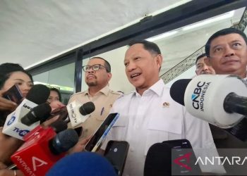 Mendagri Tegaskan WFH Tidak Akan Mengganggu Layanan Esensial