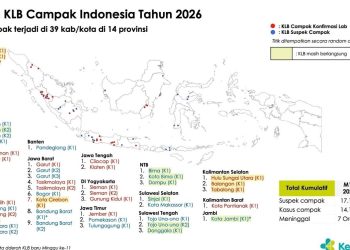 Kemenkes Perluas ORI di 10 Wilayah dengan Kasus Campak Tertinggi